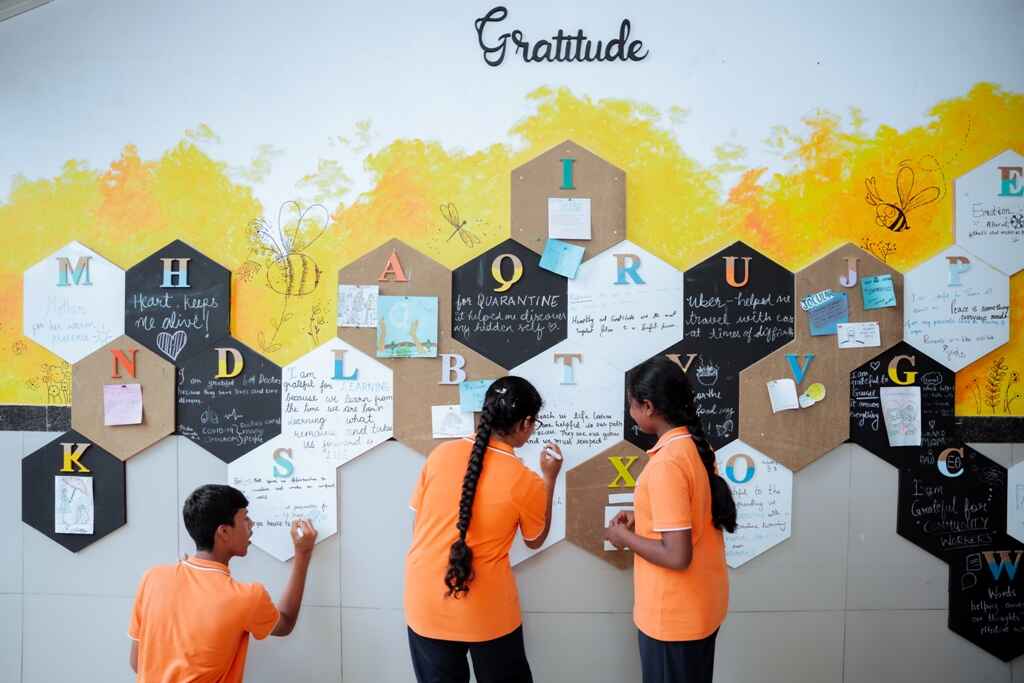 Gratitude - NHVPSBSK